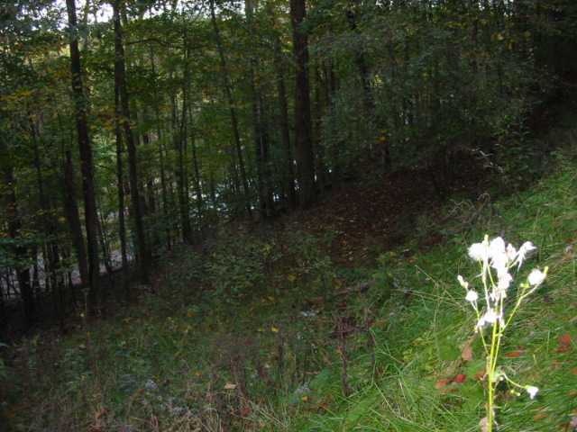 1175 Taos Ln, Sugar Grove, OH 43155 - photo 1