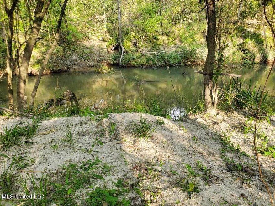 No Enterprise Rd, McComb, MS 39648 - photo 1