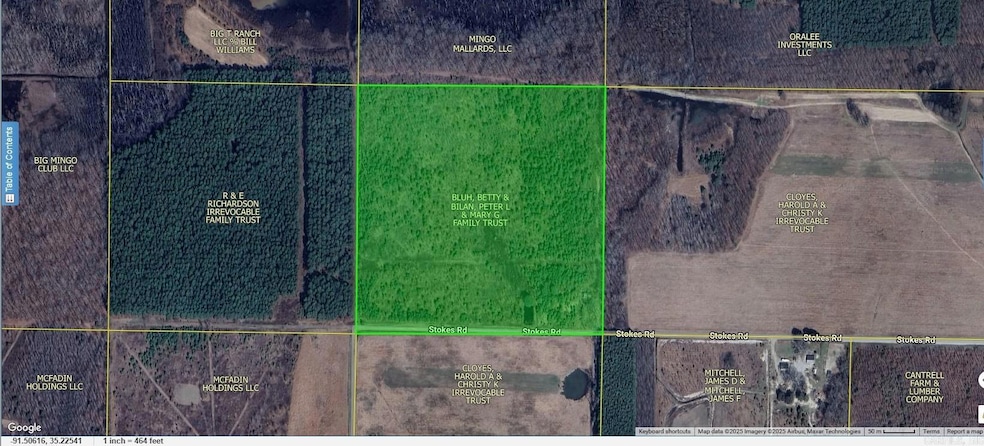 000 Stokes Rd, Bald Knob, AR 72010 - photo 1