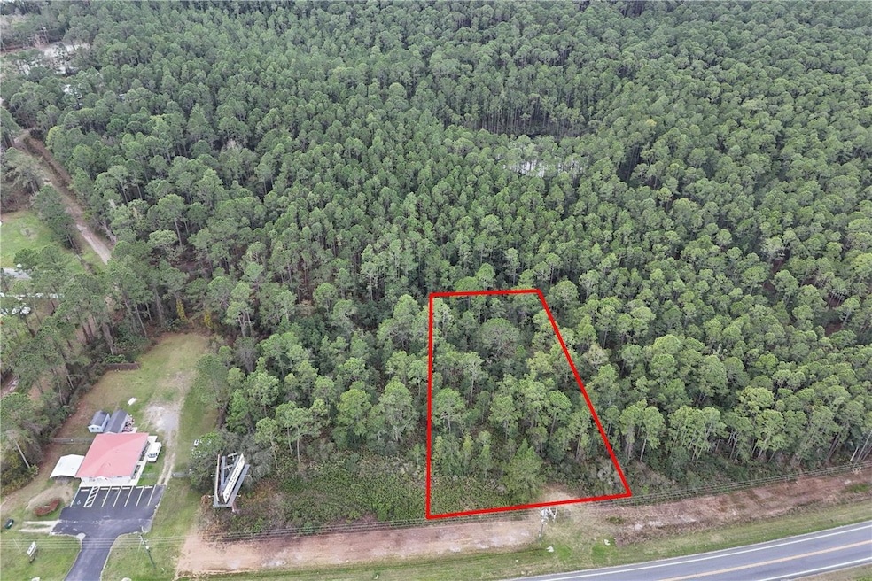 0 Hwy 40, Ocala, FL 34470 - photo 1