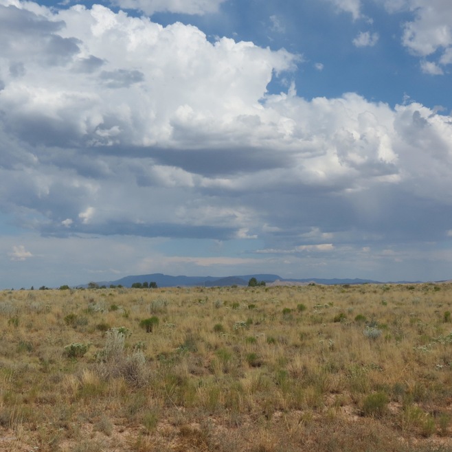 26600 N Bull Snake Rd, Paulden, AZ 86334 - photo 1