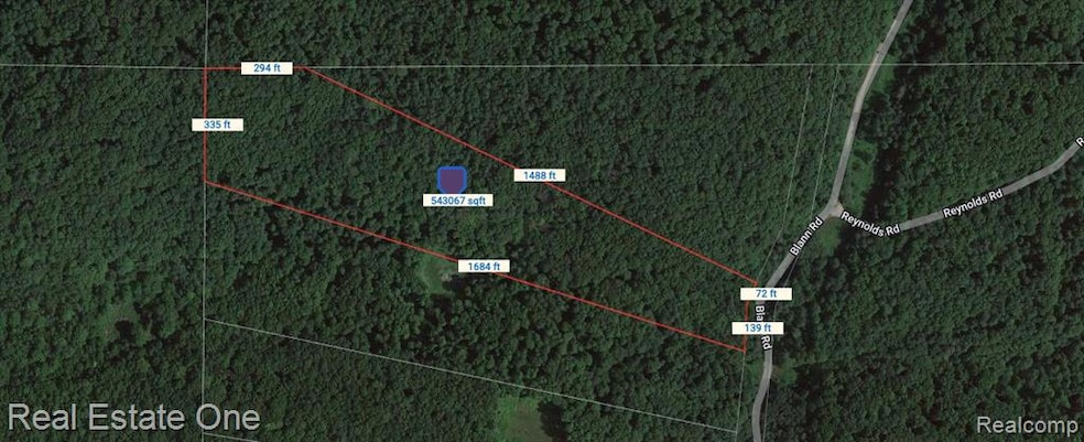 000 Blann Rd, Hudson Township, MI - photo 1