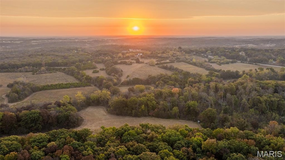 000 Country Farm Rd, Lyon Township, MO 63013 - photo 1