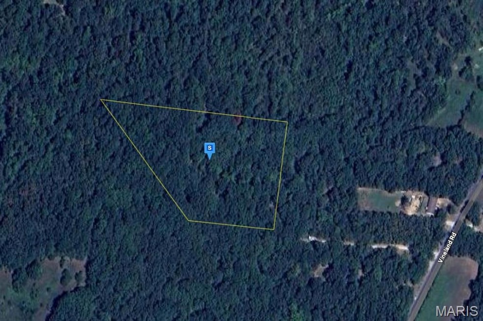 13821 Vineland Rd, de Soto, MO 63020 - photo 1