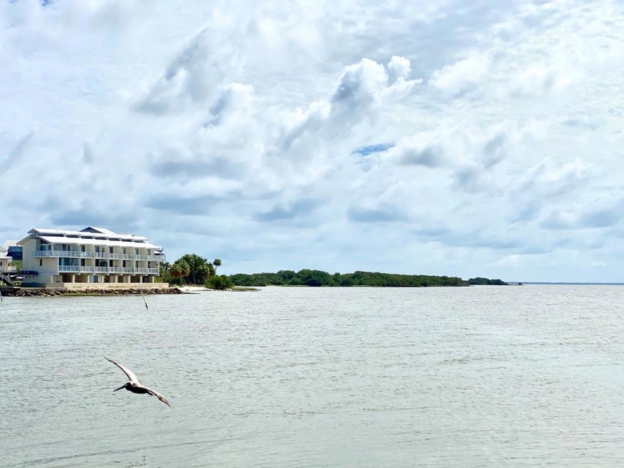 Main View