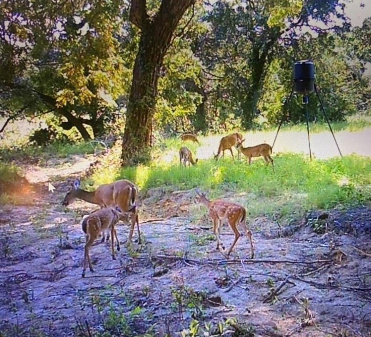 7350 Sabathney Rd, Weatherford, TX 76085 - photo 1