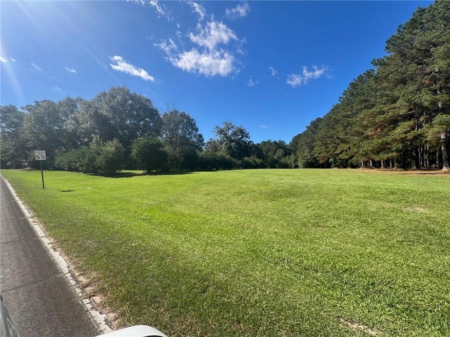 0 Louisiana 1054, New Zion, LA 70444 - photo 1