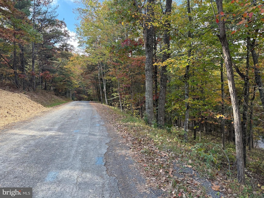 0 Susan Rd, Mount Jackson, VA 22842 - photo 1