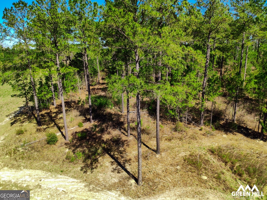 0 Americus Hwy unit 10490217, Rupert, GA 31081 - photo 1