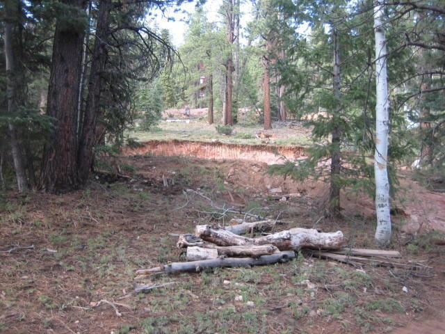 67 W Bear Track, Duck Creek Village, UT 84762 - photo 1