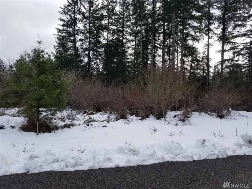 130 W Salmonberry Dr, Elma, WA 98541 - photo 1