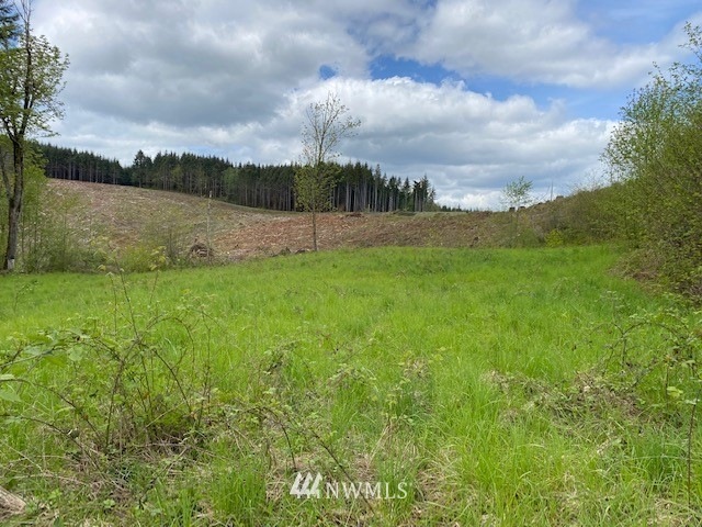 0 Buckhorn Rd unit 1935246, Winlock, WA 98596 - photo 1
