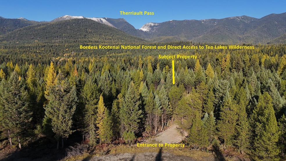 209 Turtle Trail, Eureka, MT 59917 - photo 1