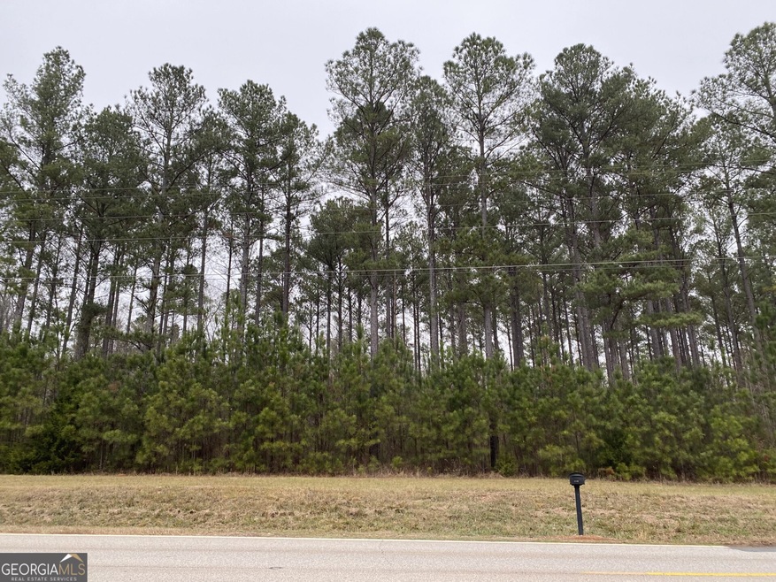 0 Jersey Social Circle Rd unit 10653494, Jersey, GA 30018 - photo 1