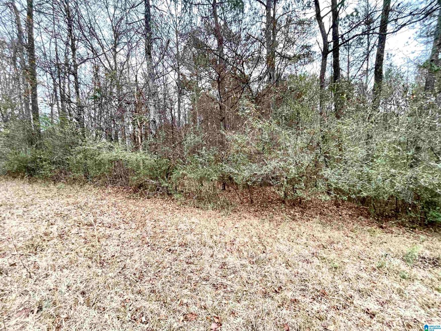 0 Highway 231 Unit 21373583, Cropwell, AL 35054 MLS 21373583