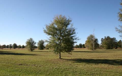 LOT64 Mandiba Dr, Lake City, FL 32024 - photo 1