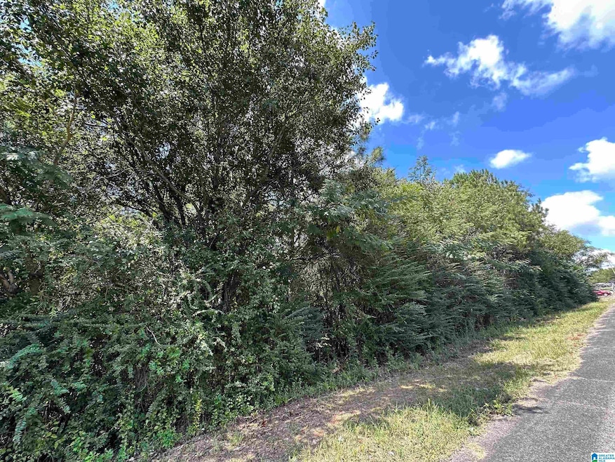 1424 Utica Place, Bessemer, AL 35224 - photo 1