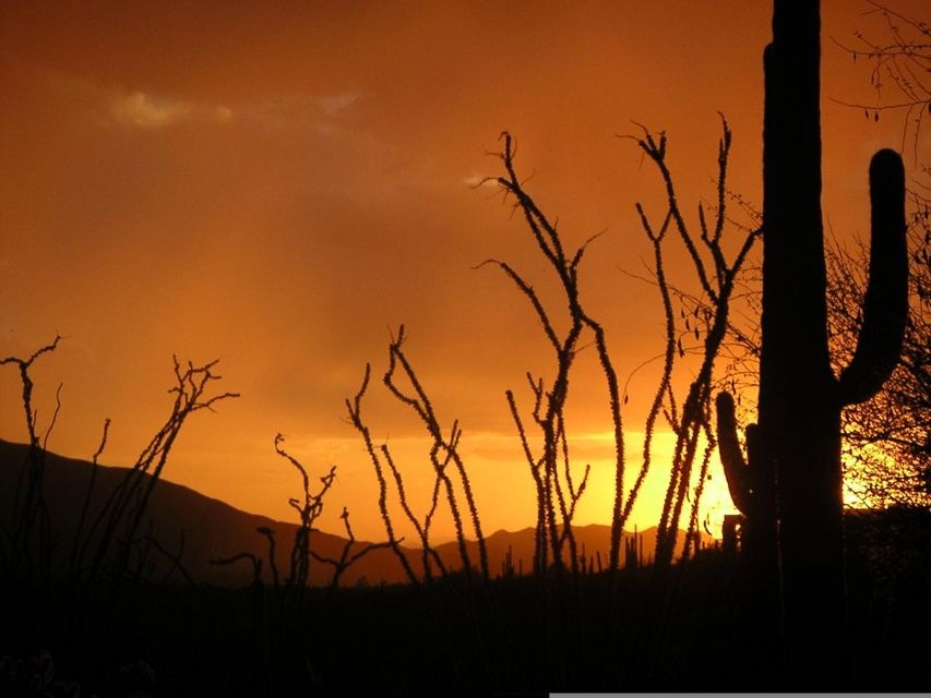 Gorgeous sunsets
