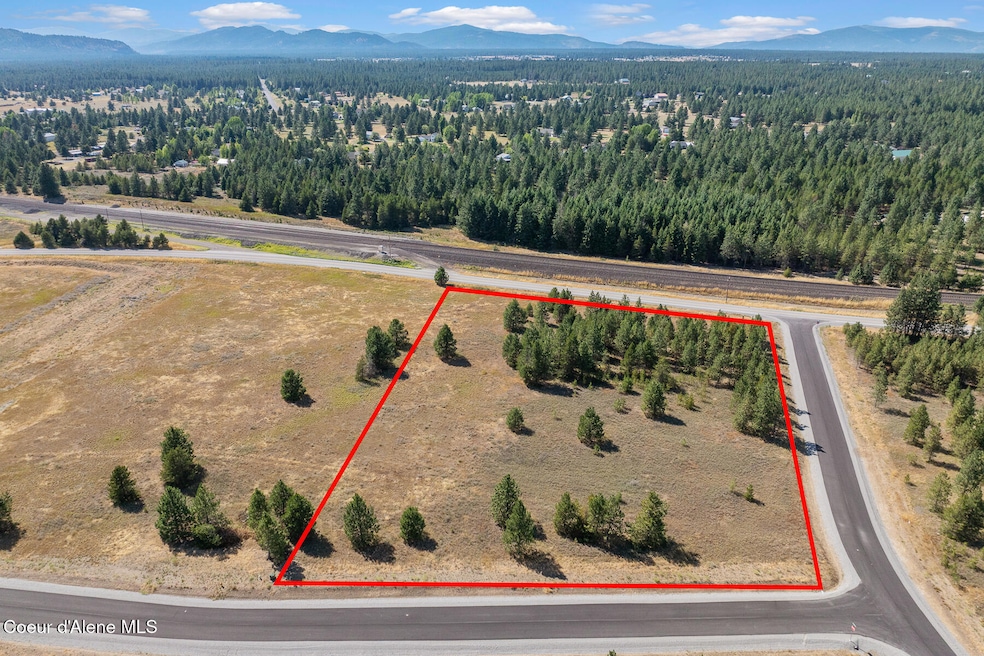 Lot 15 Asulkan St, Athol, ID 83801 - photo 1