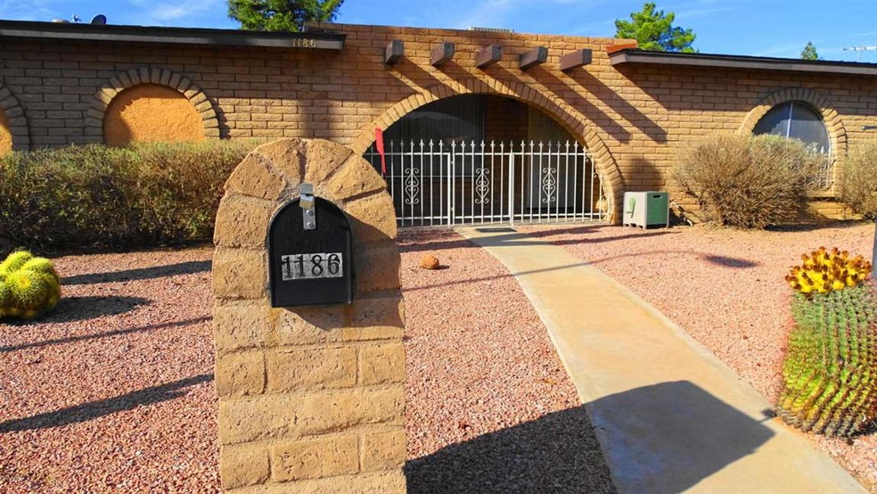 palo verde 001
