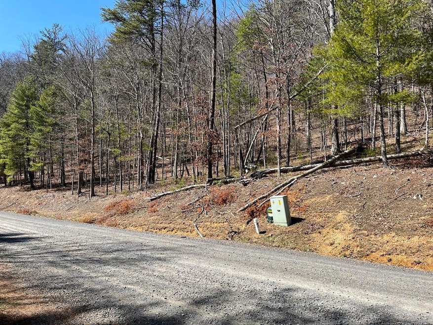 TBD New River Oaks Dt, Austinville, VA 24312 - photo 1