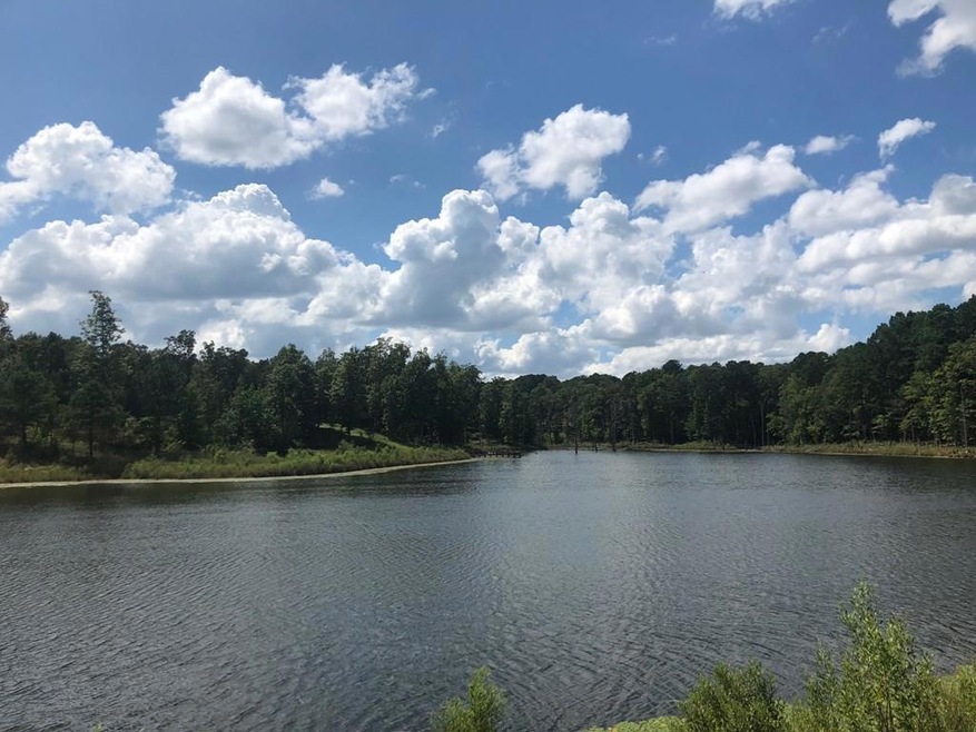 TBD Cr 225, Oxford, MS 38655 - photo 1