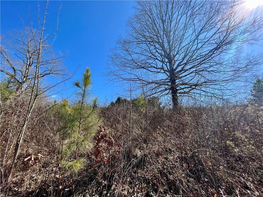 0 Oak Valley Ct unit 7343403, Ellijay, GA 30540 - photo 1