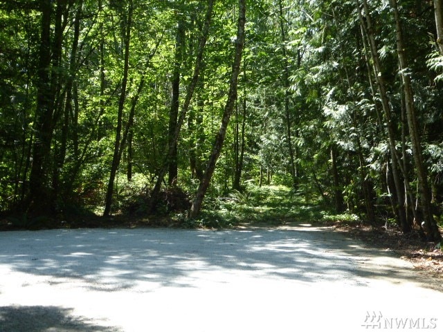 59 Noon Rd, Bellingham, WA 98226 - photo 1
