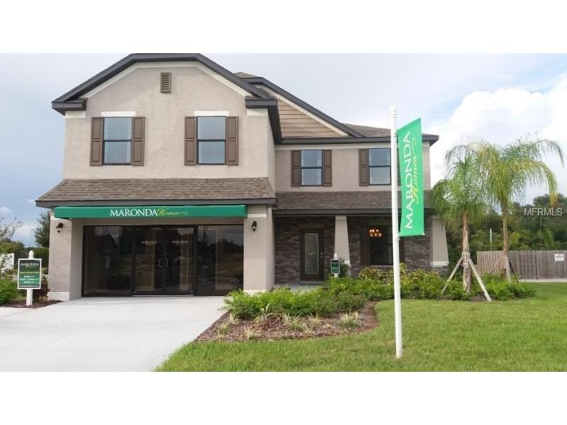 14309 Italia Dr, Wimauma, FL 33598 - photo 1