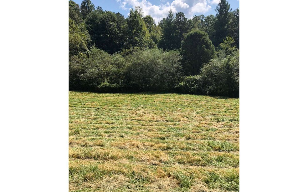 0 Chatsworth Hwy unit 282039, Ellijay, GA 30540 - photo 1