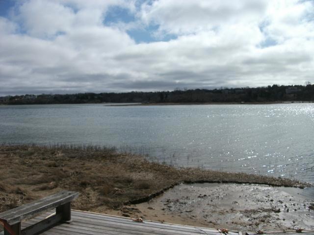 Primary Photo