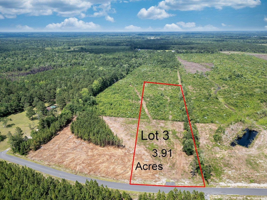 TBD Bellaire Dr unit Lot 3, Nichols, SC 29581 - photo 1