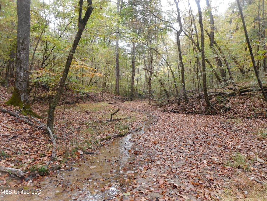 Creek