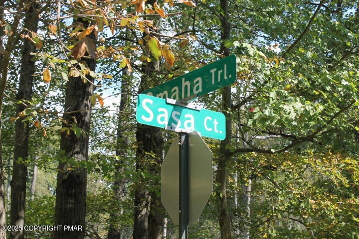 21 Omaha Trail, Tobyhanna Township, PA 18347 - photo 1