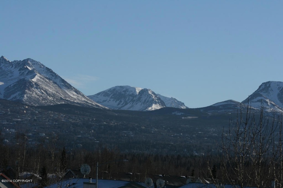 mountain view