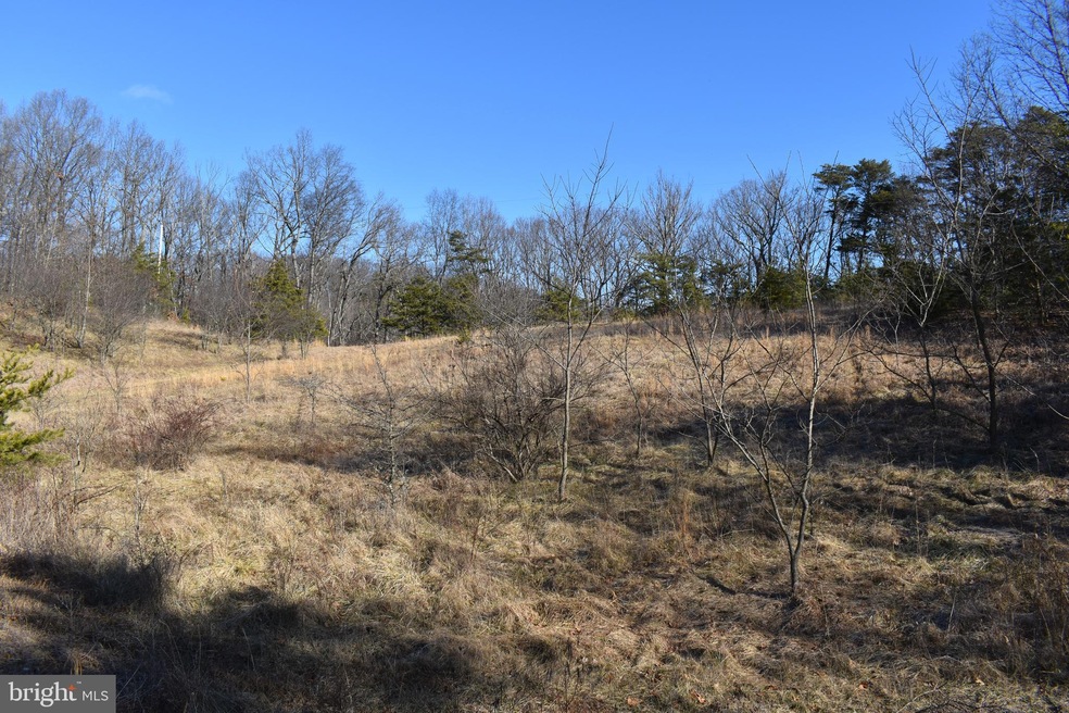 LOT 21 Fable Rd, Hedgesville, WV 25427 - photo 1