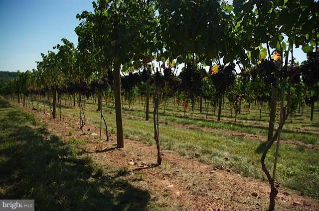 0 Telegraph Springs Rd unit 1000084971, Purcellville, VA 20132 - photo 1