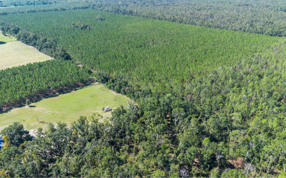 TBD-6 221st Rd, Dowling Park, FL 32060 - photo 1
