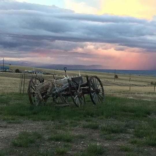 Carousel Image