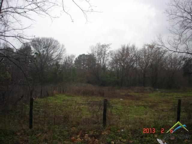 6394 County Road 21, Tyler, TX 75707 - photo 1
