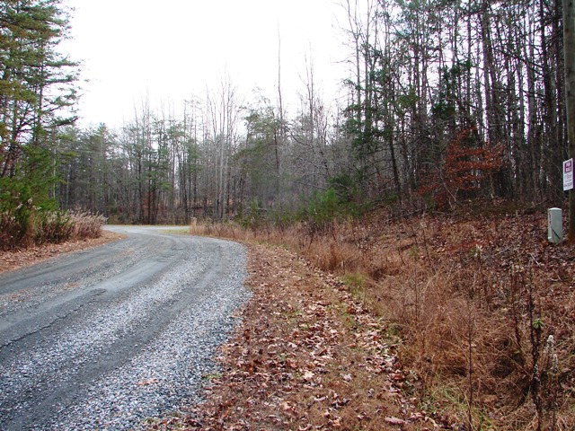 0 Lees Crossing Ln unit 9 34714, Appomattox, VA 24522 - photo 1