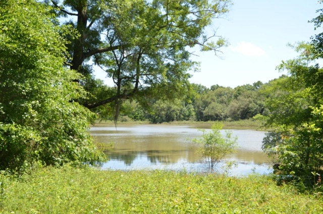 0000 S County Line Rd, Bridgeboro, GA 31705 - photo 1