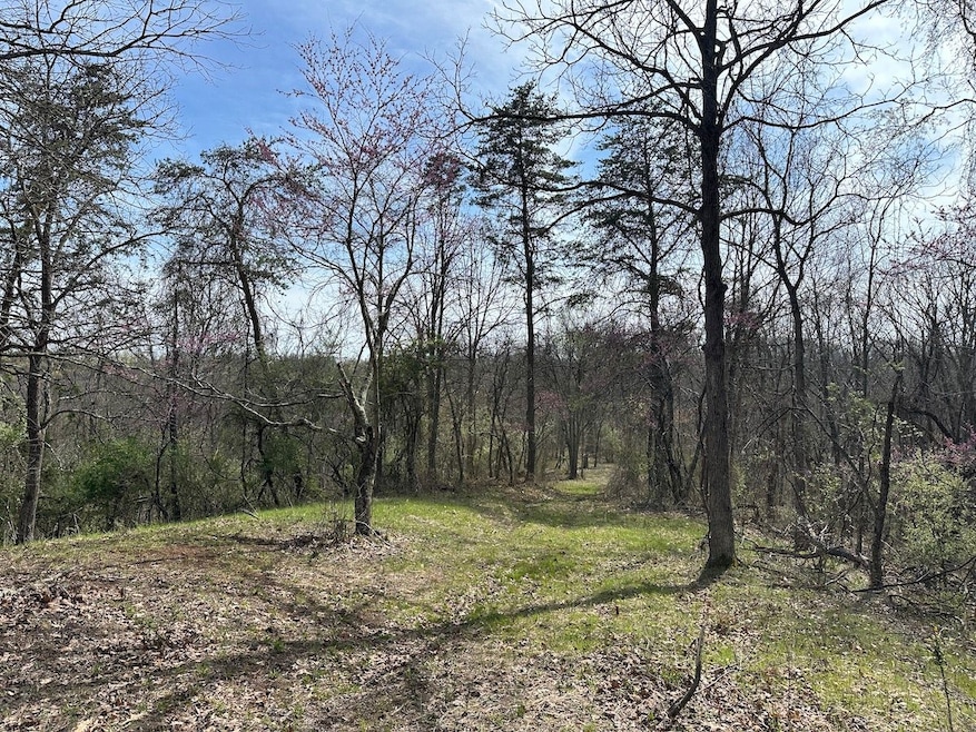 0 Chesterville Rd unit Lot WP001 23687476, Mineral Wells, WV 26150 - photo 1