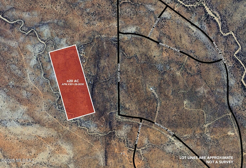 20acres S Garvey Rd, Tucson, AZ 85736 - photo 1