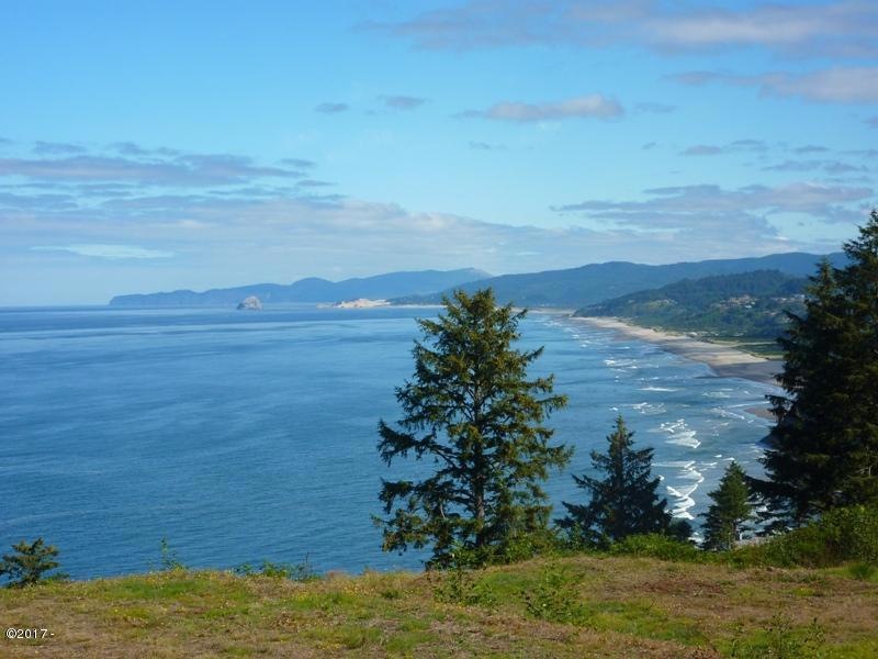 Lot 304 View
