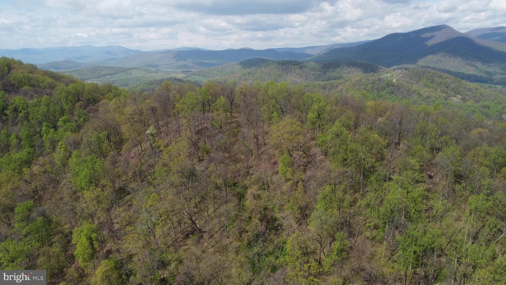 0 Ben Venue Rd unit VARP2000058, Flint Hill, VA 22627 - photo 1