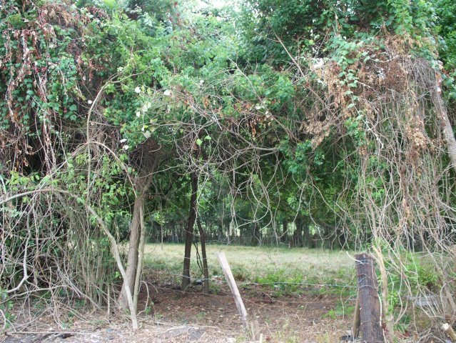 1001 Avenue A, Bay City, TX 77414 - photo 1