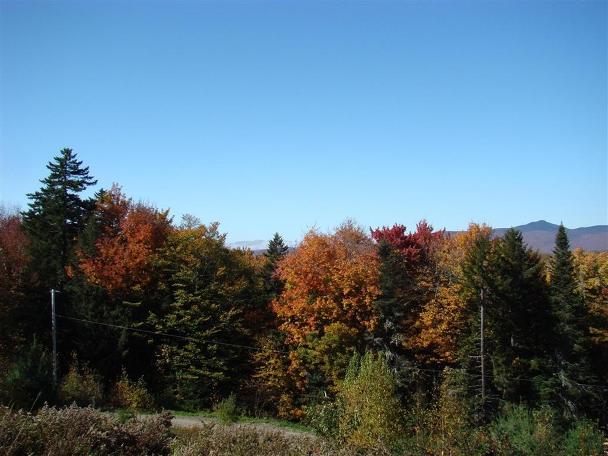 5 Ghastly Job Way unit 5, Wilmington, VT 05363 - photo 1