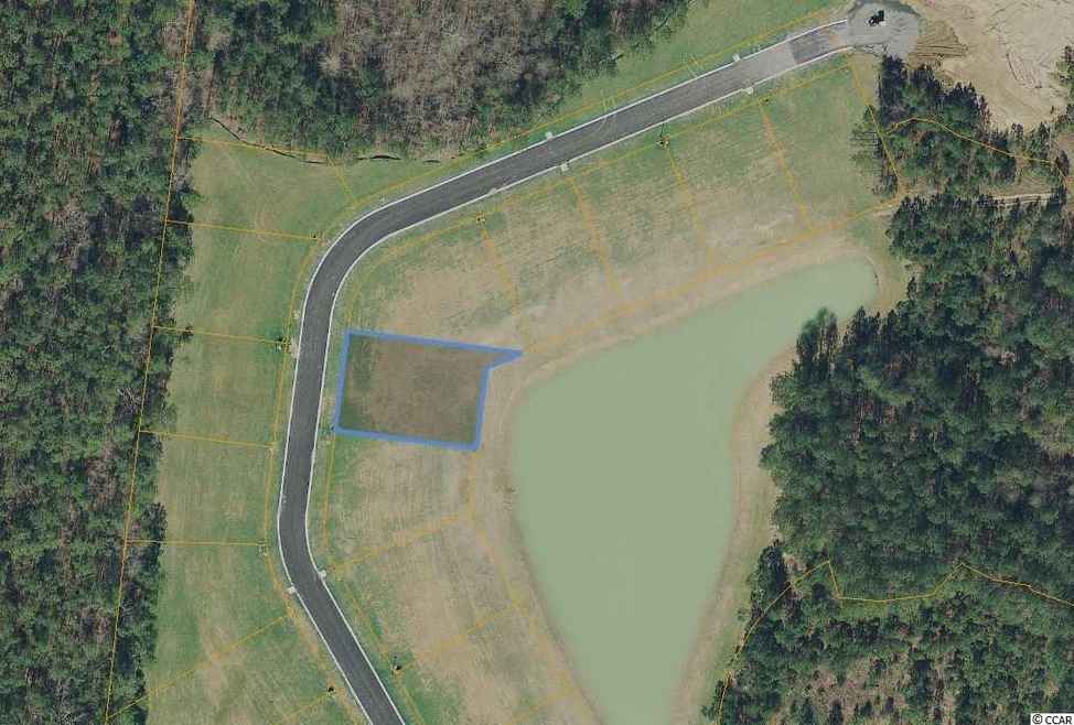 308 Macarthur Dr unit Lot 121 - phase 2 Hi, Conway, SC 29527 - photo 1