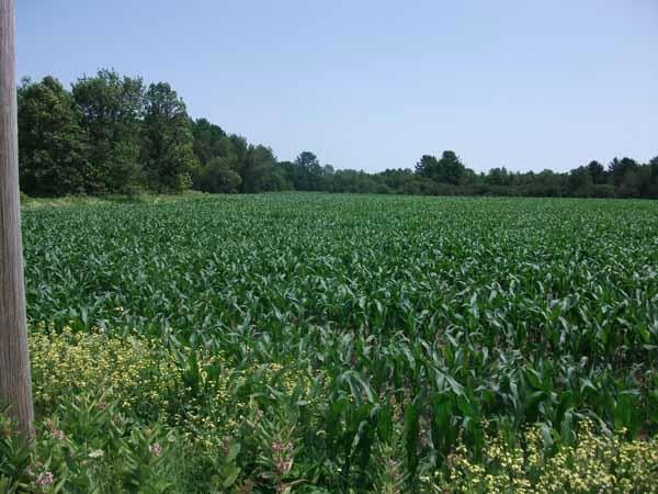 000000 Griffin Rd, Levant, ME 04345 - photo 1